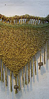 Galway Shawl