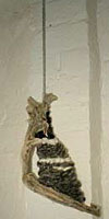 Sand and Foam 2002